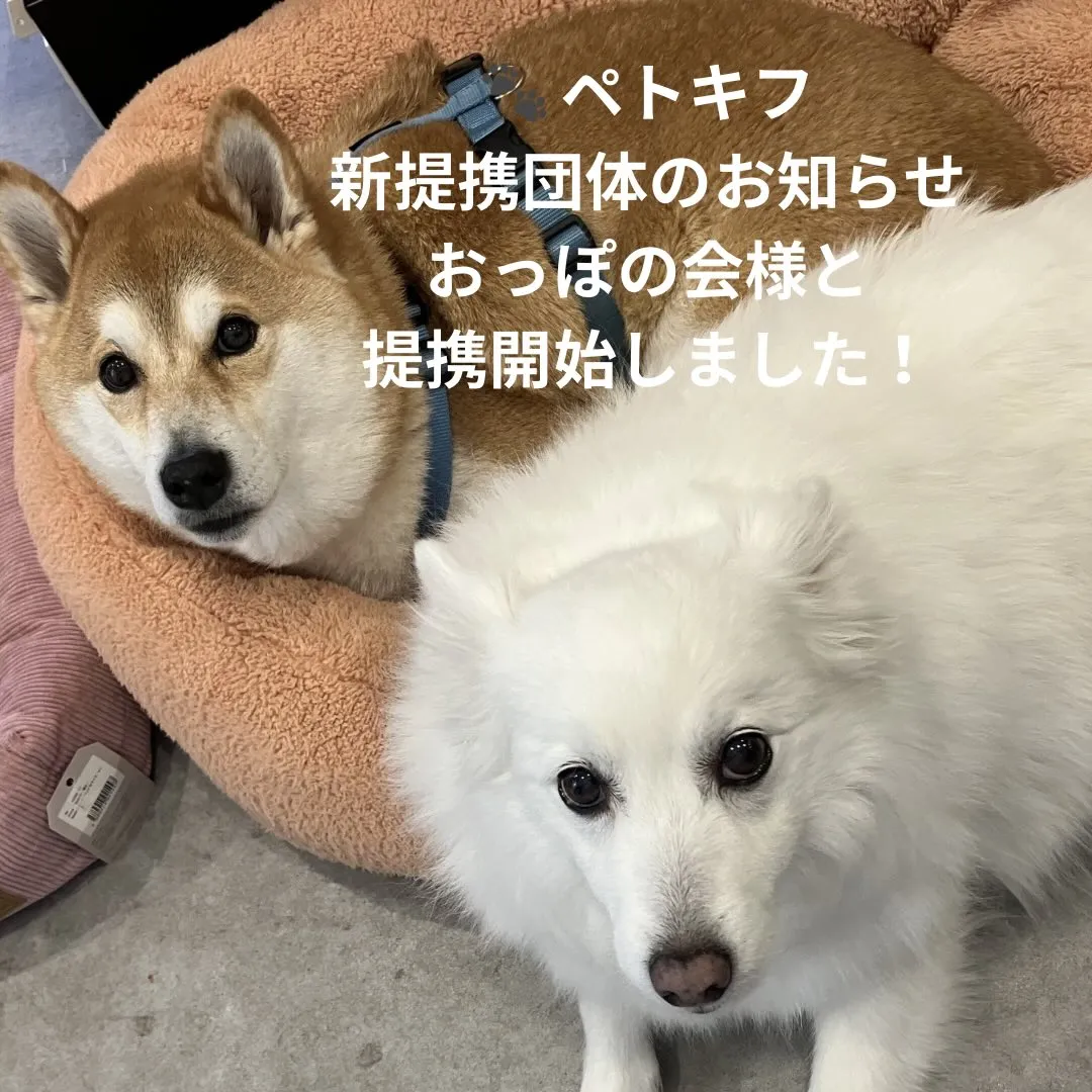 🐾 新しい寄付先が増えました!